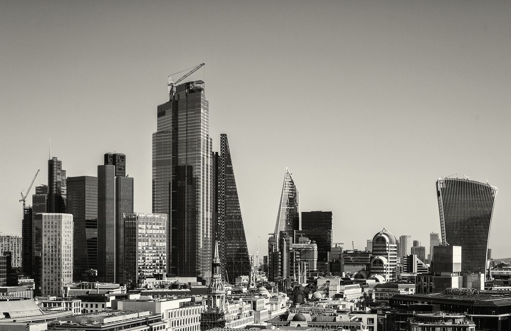 Фотография автора Sherine El Mously