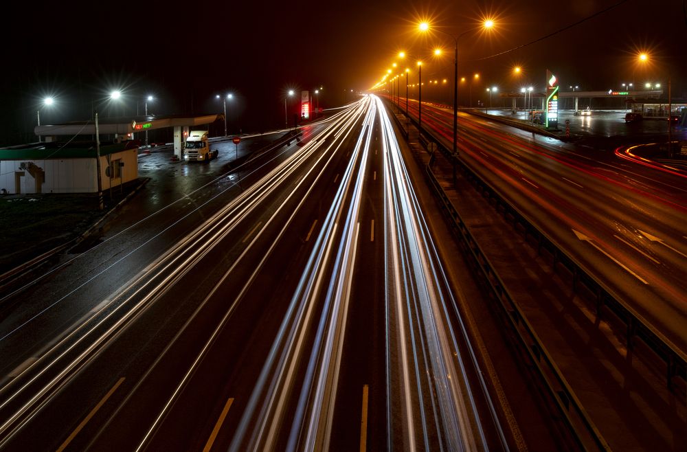 Отстал от стаи