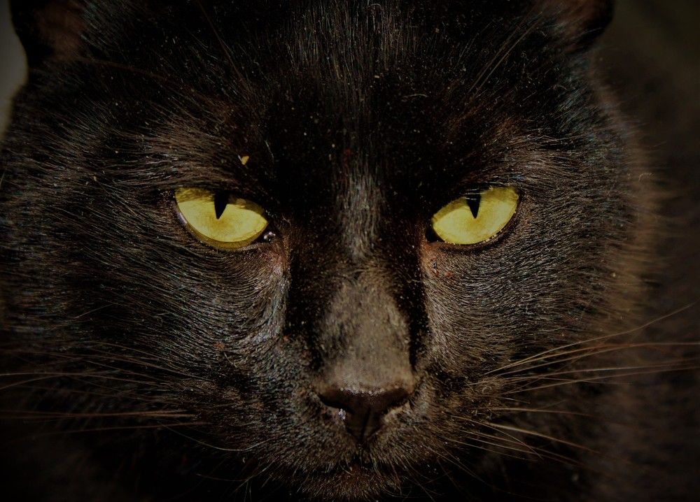 Photograph by Effie Zacharia