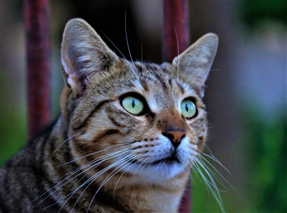 Photograph by Effie Zacharia