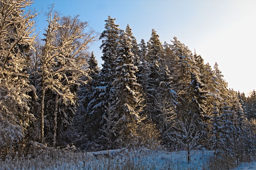 Photograph by Егор Журавлёв