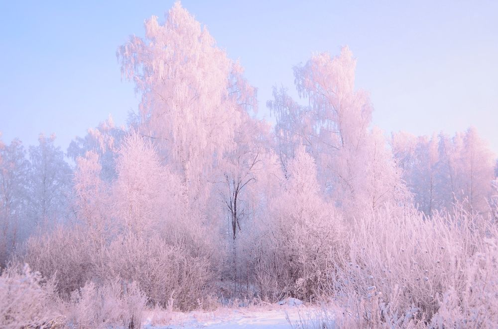 Photograph by Екатерина Шлехт