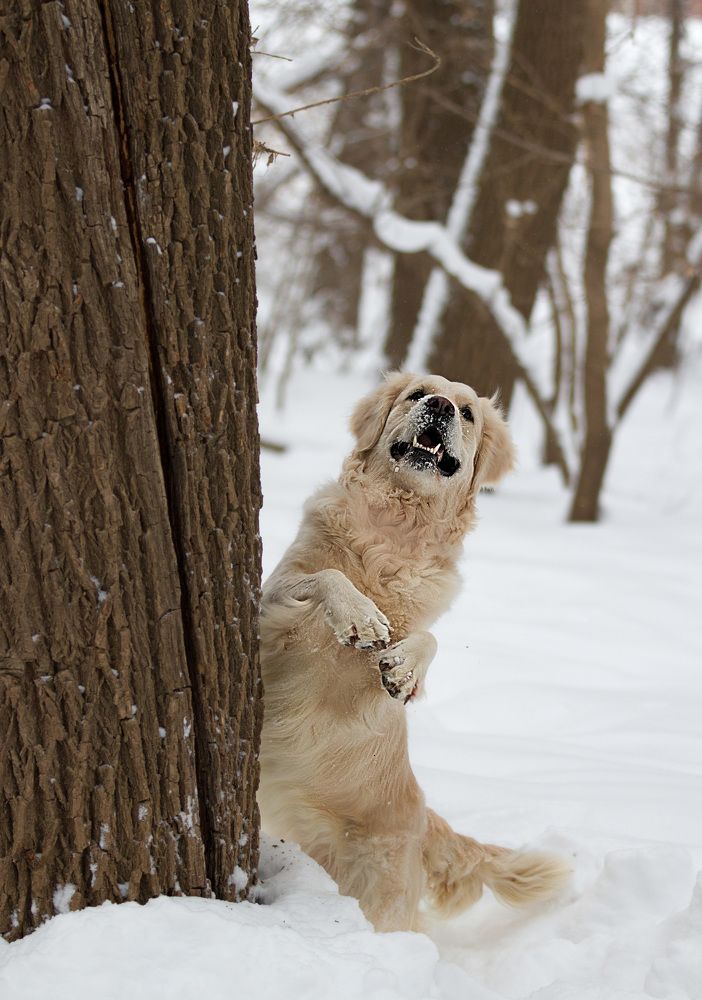 Photograph by Наталия Глазкова