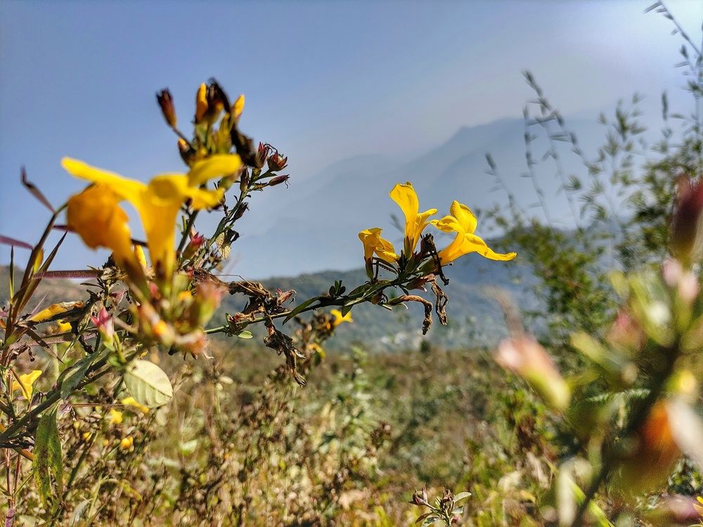 Photograph by Anubhav Choudhury