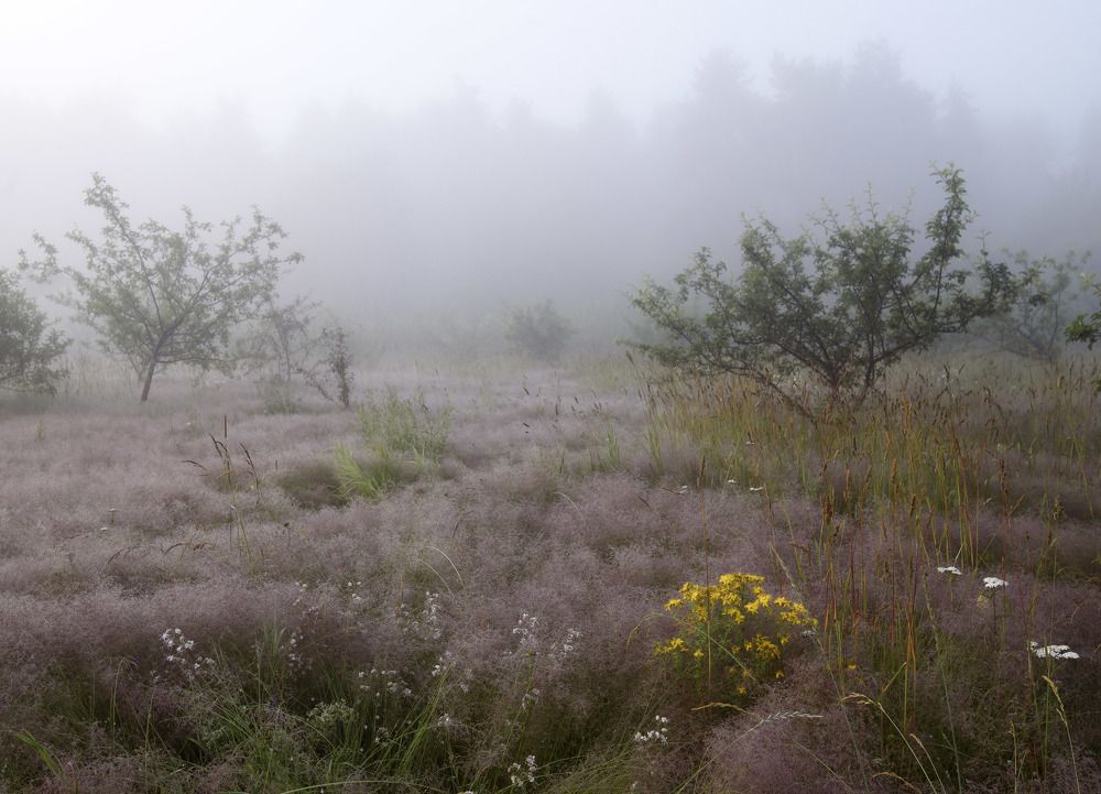 Photograph by Евгений