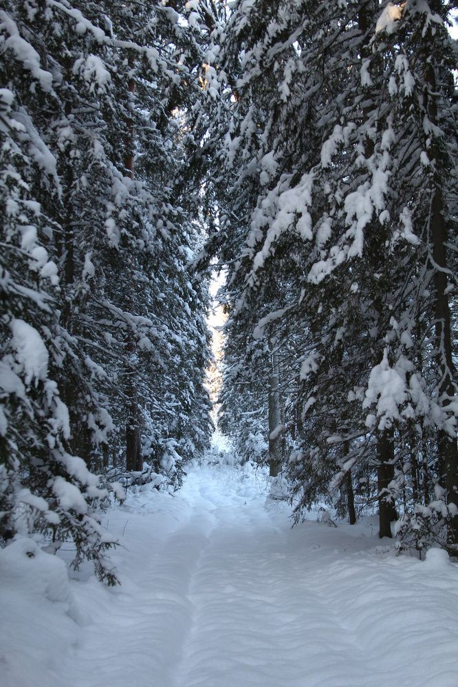 Photograph by Егор Журавлёв