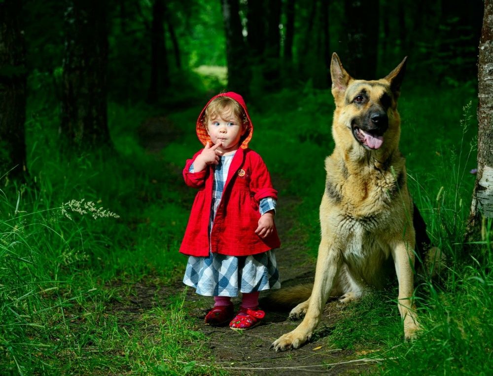 Photograph by Татьяна Линник