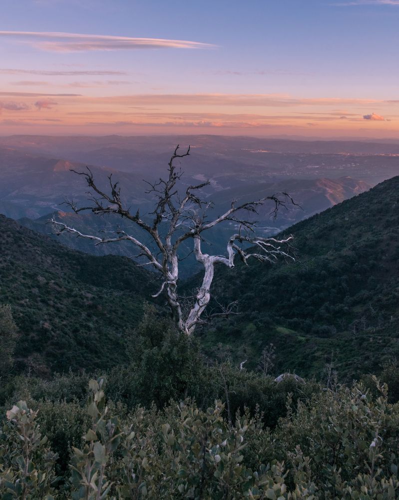 Photograph by MADJID MESSAOUD KHELIFI