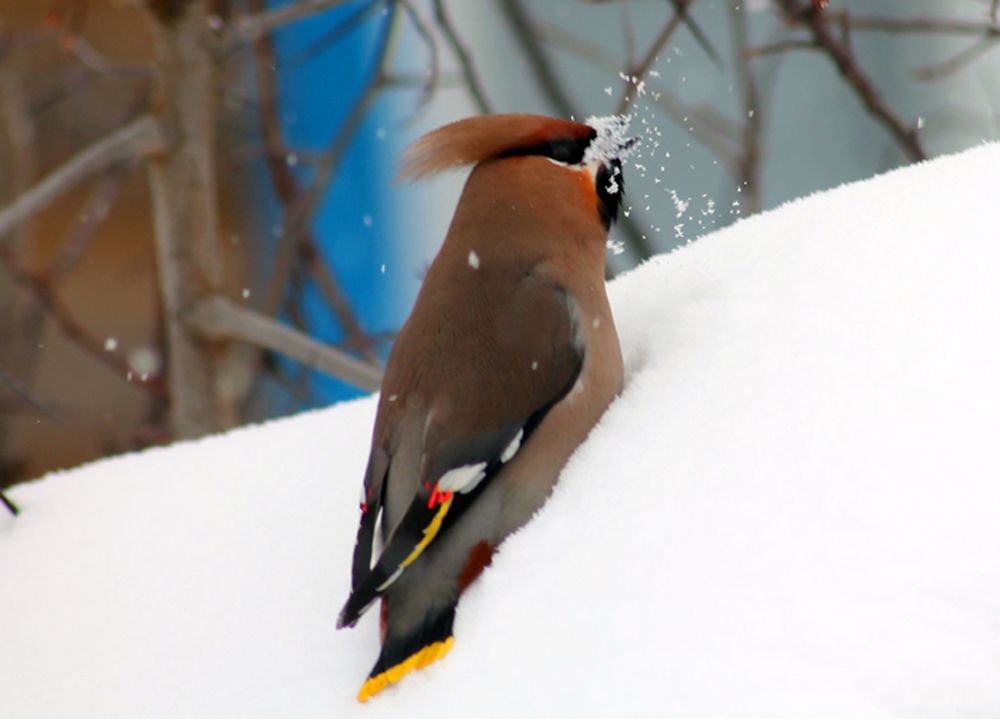 Photograph by Людмила Крышковец