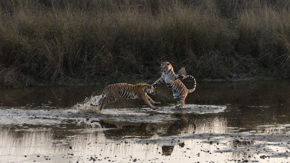 Photograph by Jitender Govindani