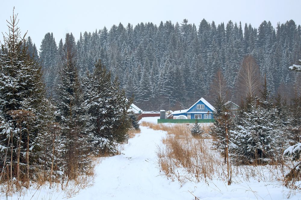 Photograph by Маргарита Гасец