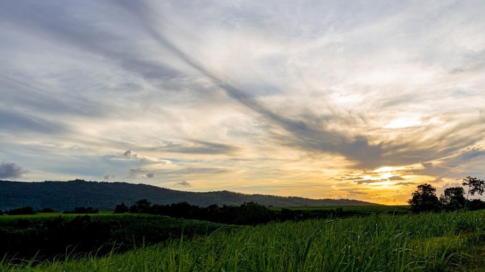 Photograph by Vishal Beersye