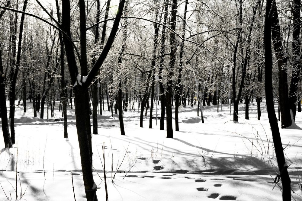 Photograph by Ольга Истомина