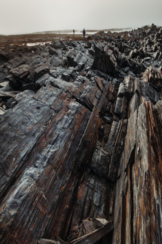 Photograph by Александра Алексеенко