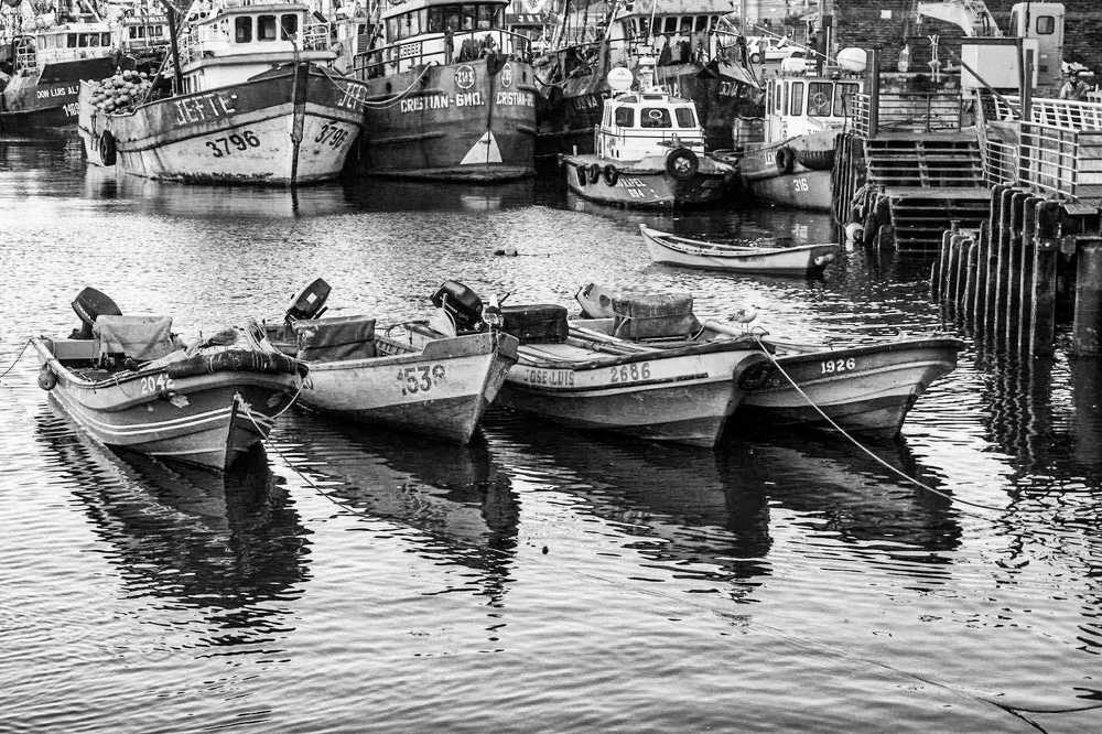 Photograph by Ronald Zambrano