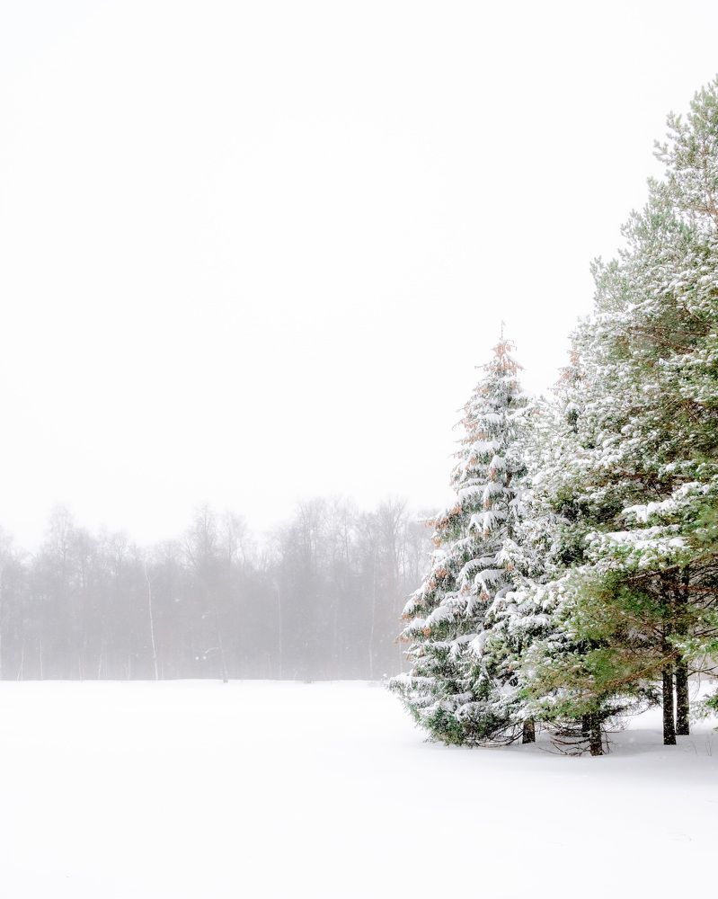 Photograph by Alexander Lukin