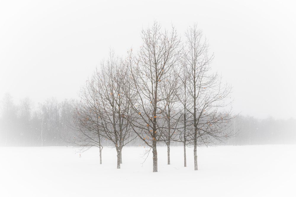 Photograph by Alexander Lukin