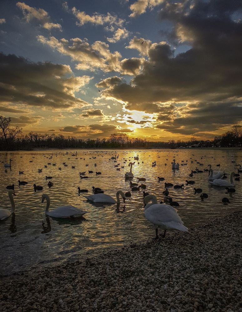 Photograph by Lea Glavaš