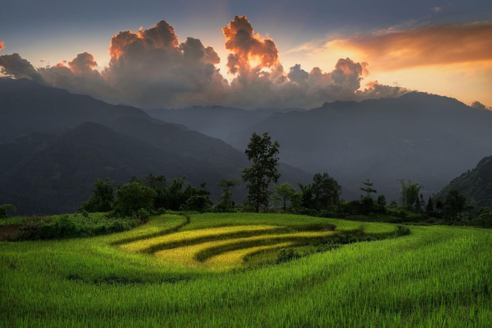 Choản thèn - Y tý