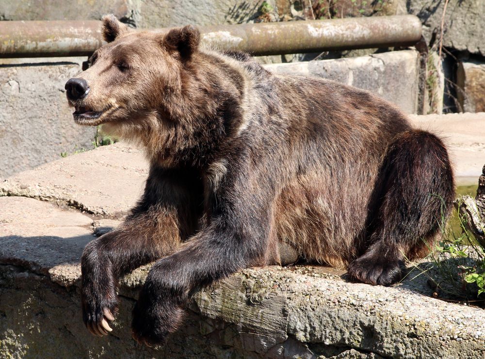 Photograph by Павел Левашов