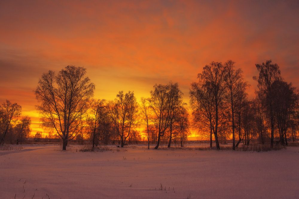Photograph by Романов Александр