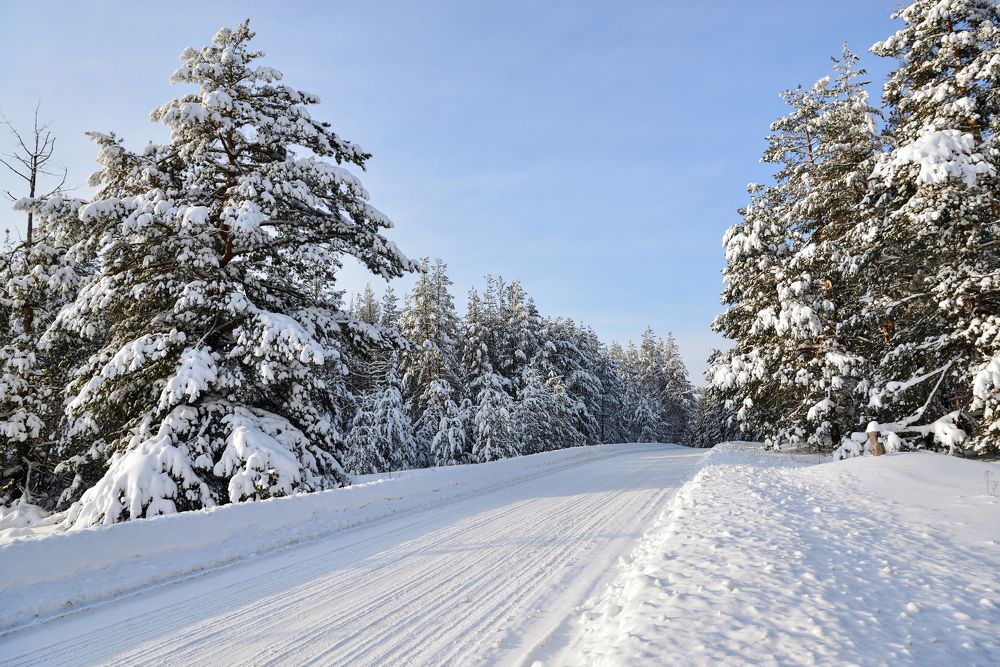 Белые дороги