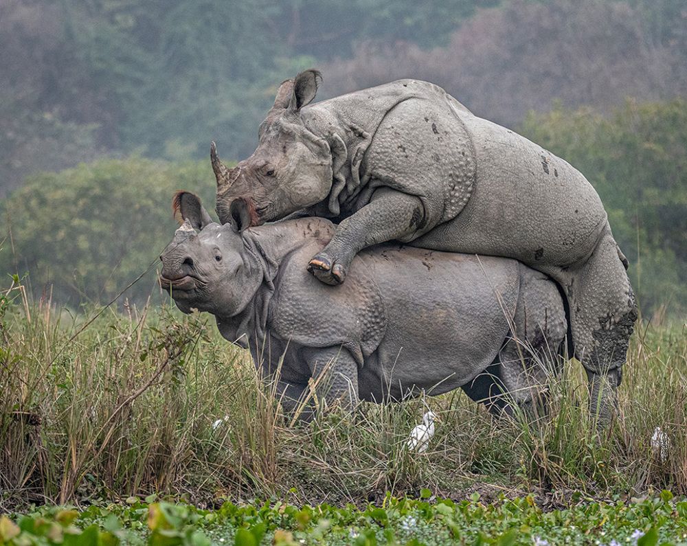 Photograph by Abhijeet Kumar Banerjee