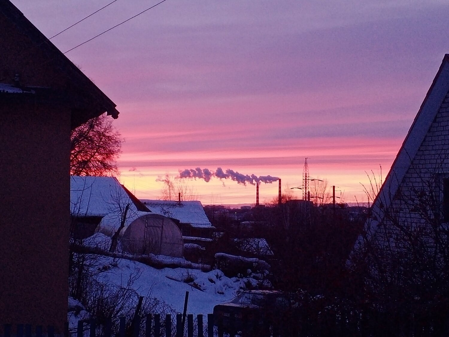Photo #5733032