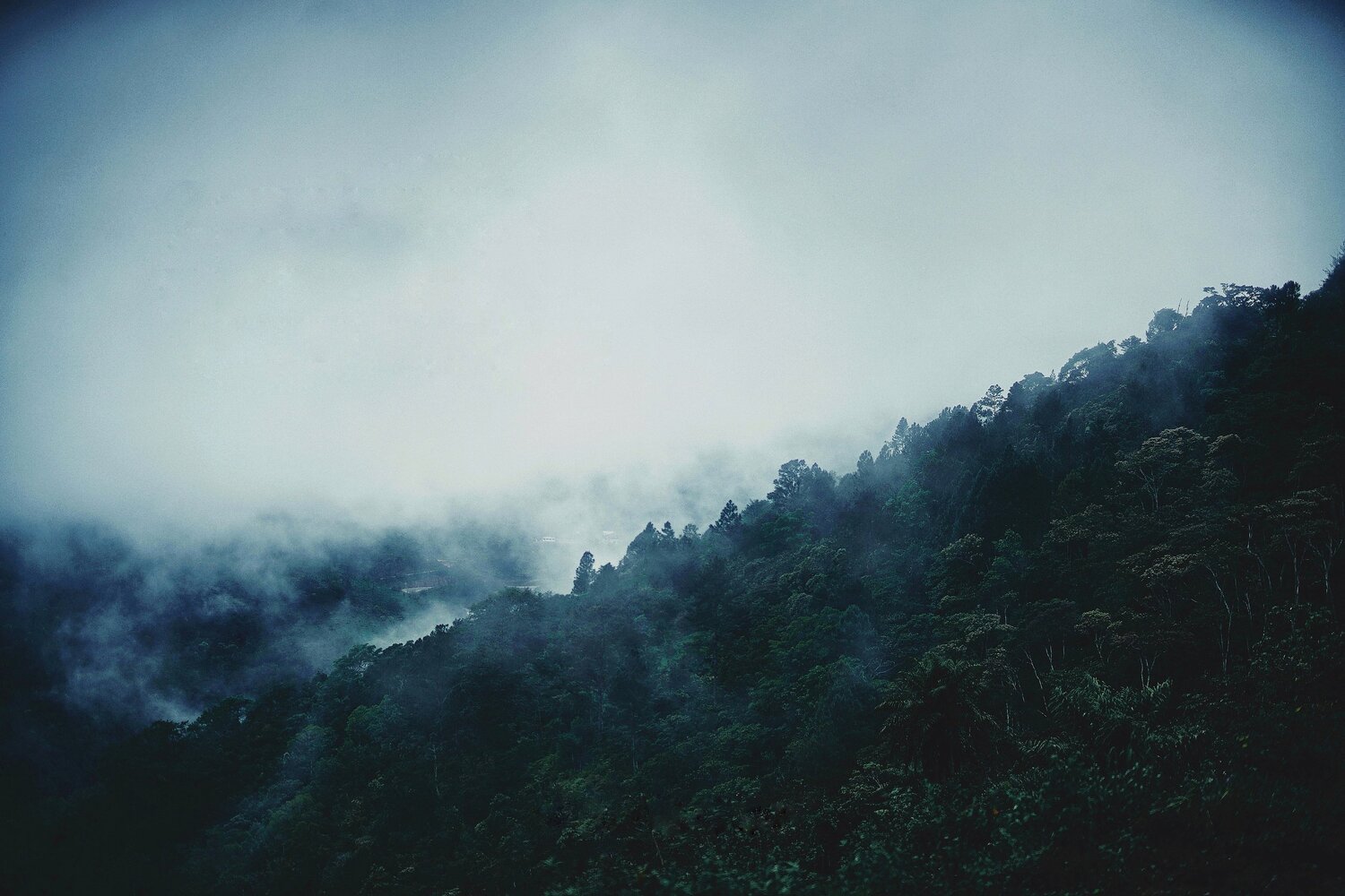 Photo #5733085