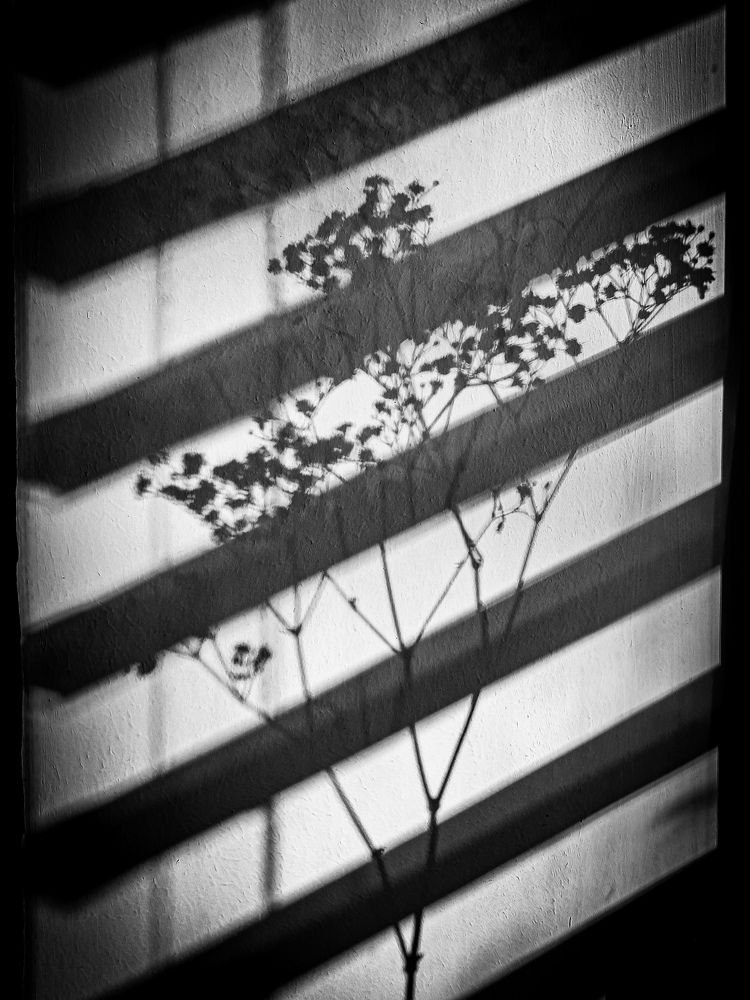 Photograph by Schewzow Lana