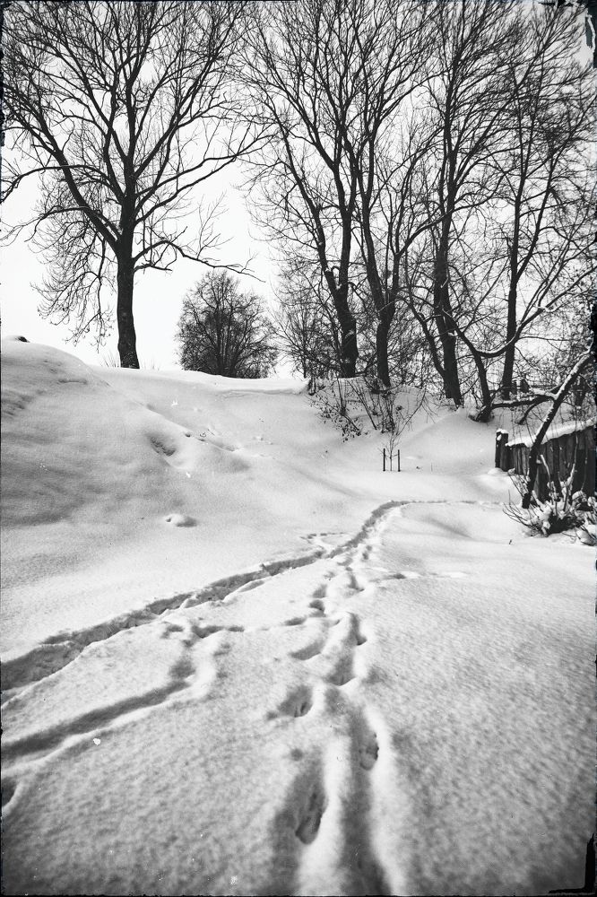 Photograph by Виталий Федотов