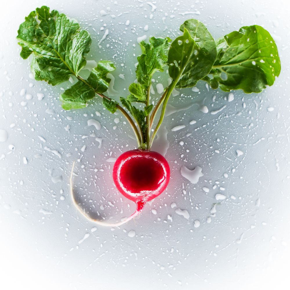 Photograph by Ольга Драч