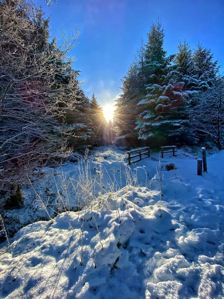 Photograph by Maliseva-Gaile