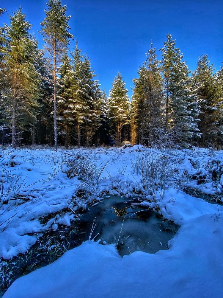 Photograph by Maliseva-Gaile