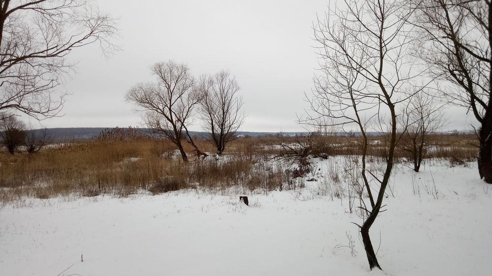 Photograph by Константин