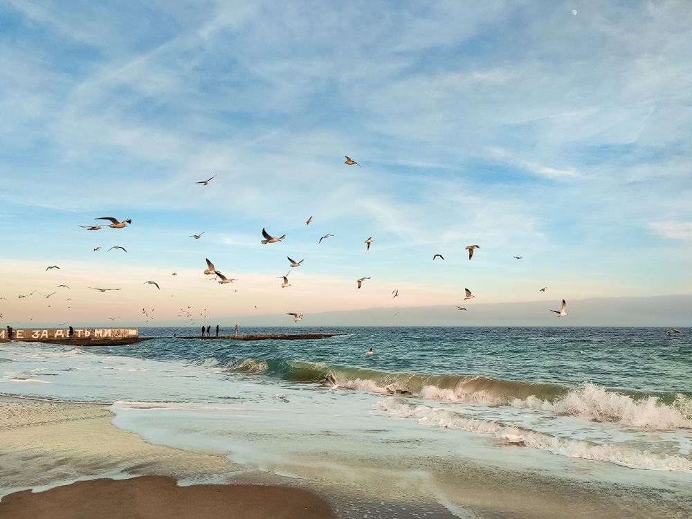 Photograph by Дарья Прусс