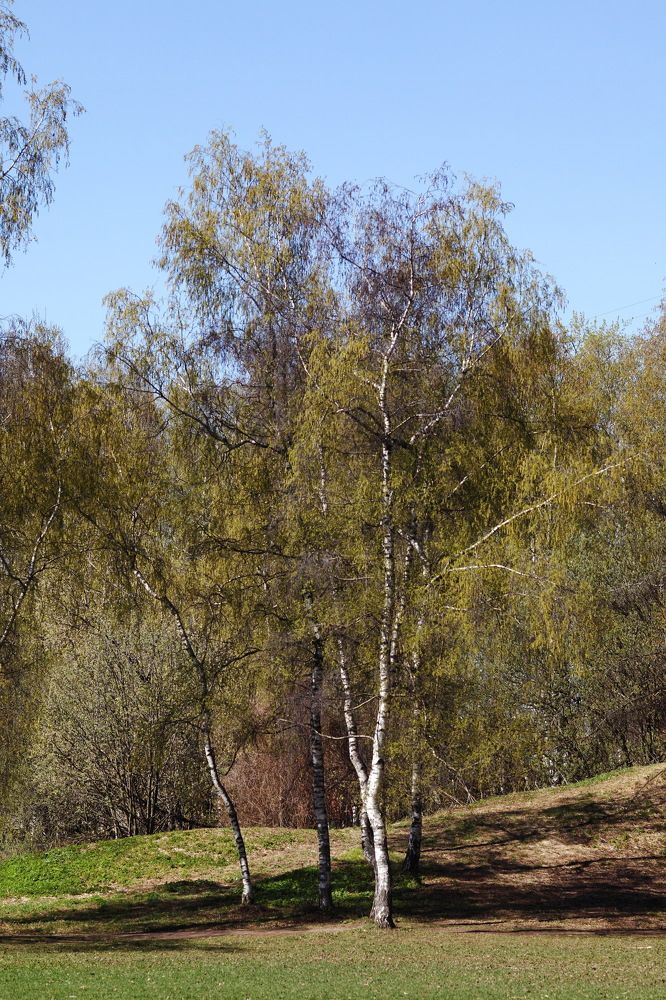 Photograph by Константин Лагоденко