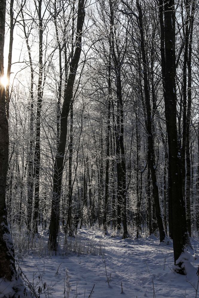 Photograph by Людмила Аксенова