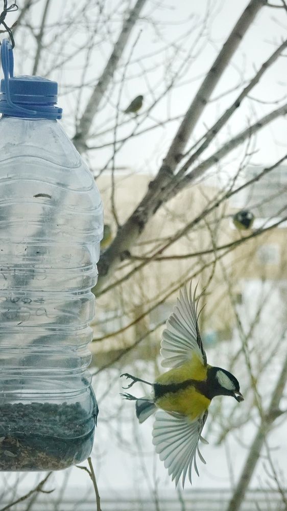 Photograph by Ксения Горленко