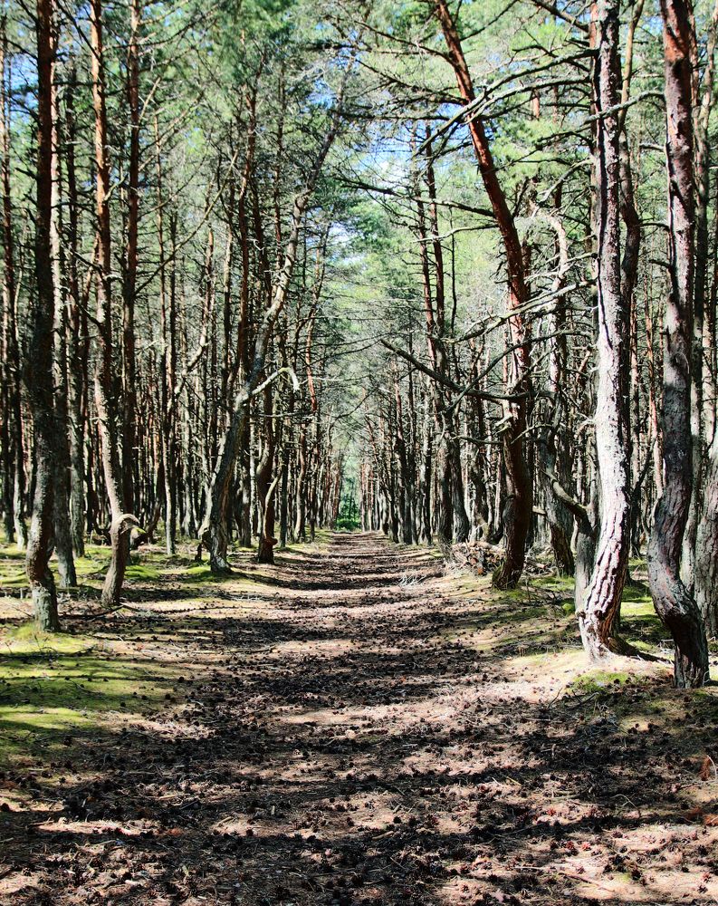 Photograph by Павел Левашов