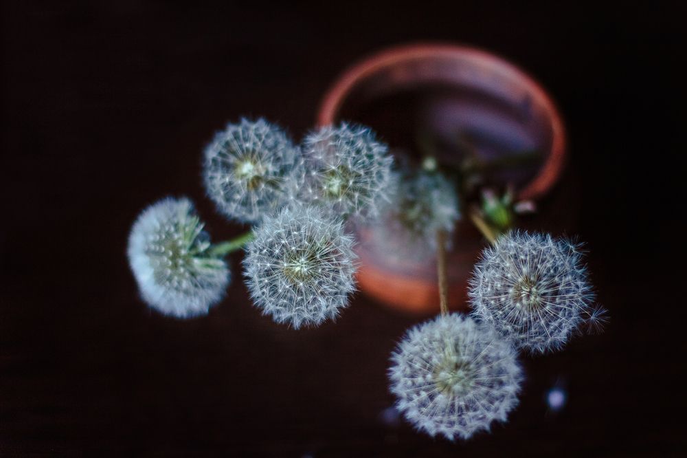 Photograph by Анна Кесарева