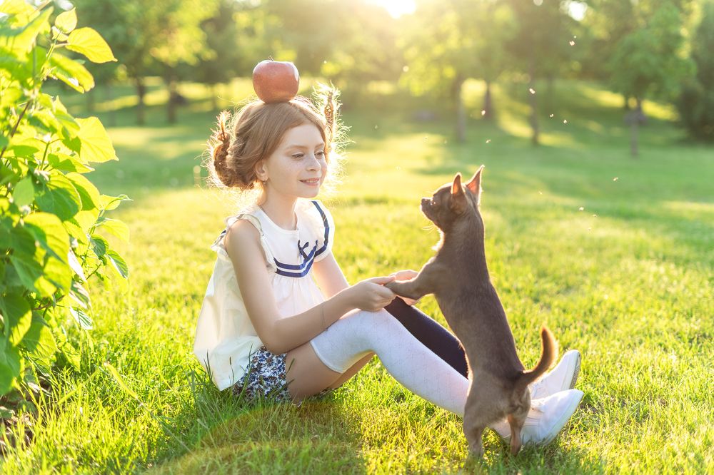 Photograph by Ольга Роговская