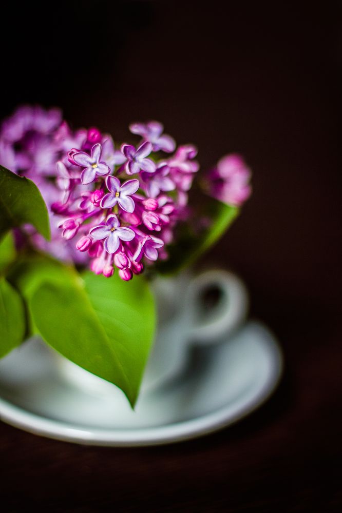 Photograph by Анна Кесарева