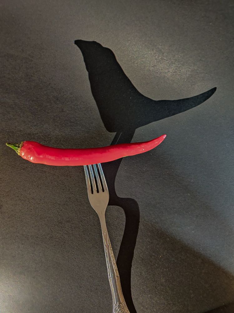 Photograph by Елена Башмакова