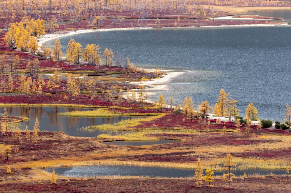 Фотография автора Nadezhda Okorokova