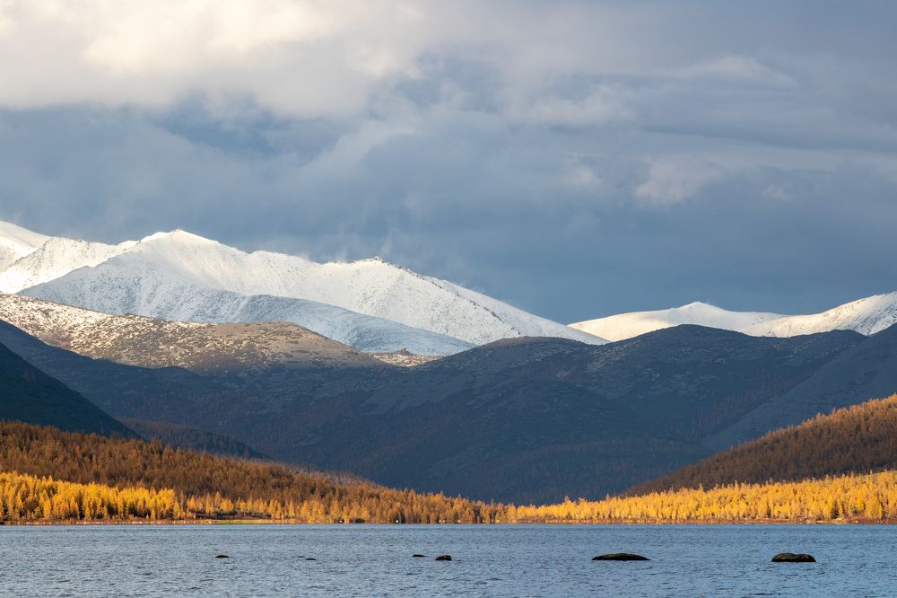 Фотография автора Nadezhda Okorokova