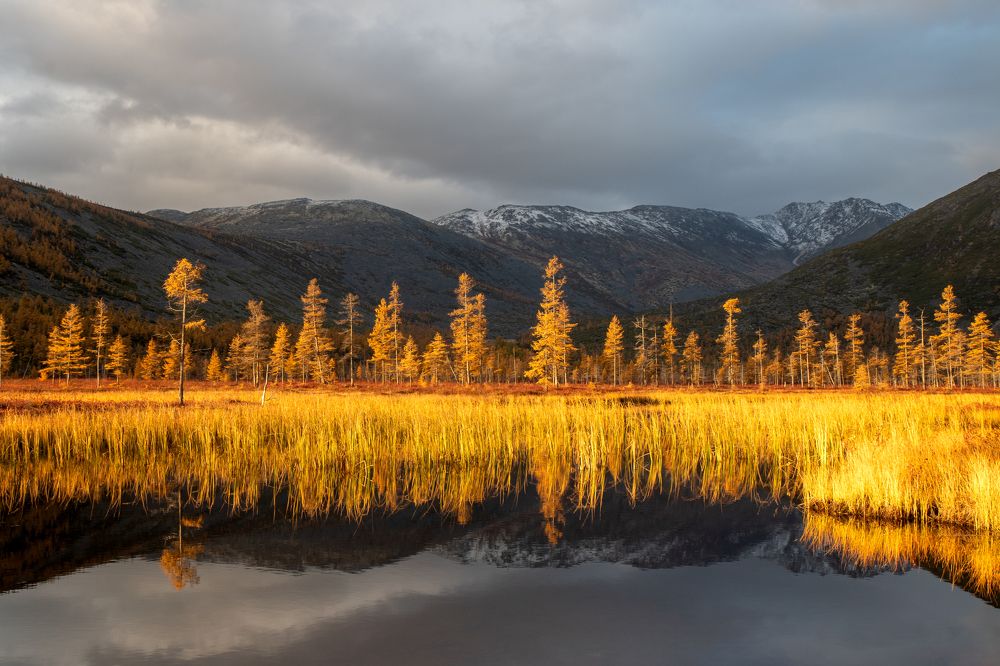 Photograph by Nadezhda Okorokova