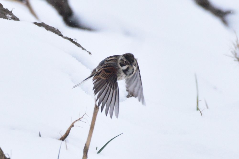 Photograph by Danijel