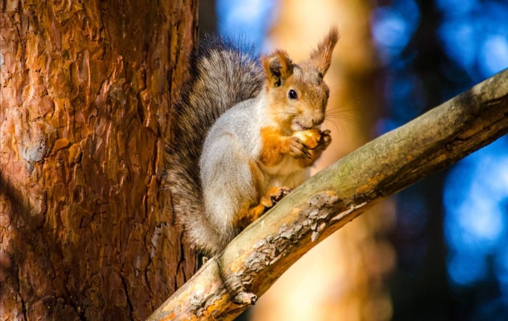 Photograph by Юрий Хайров