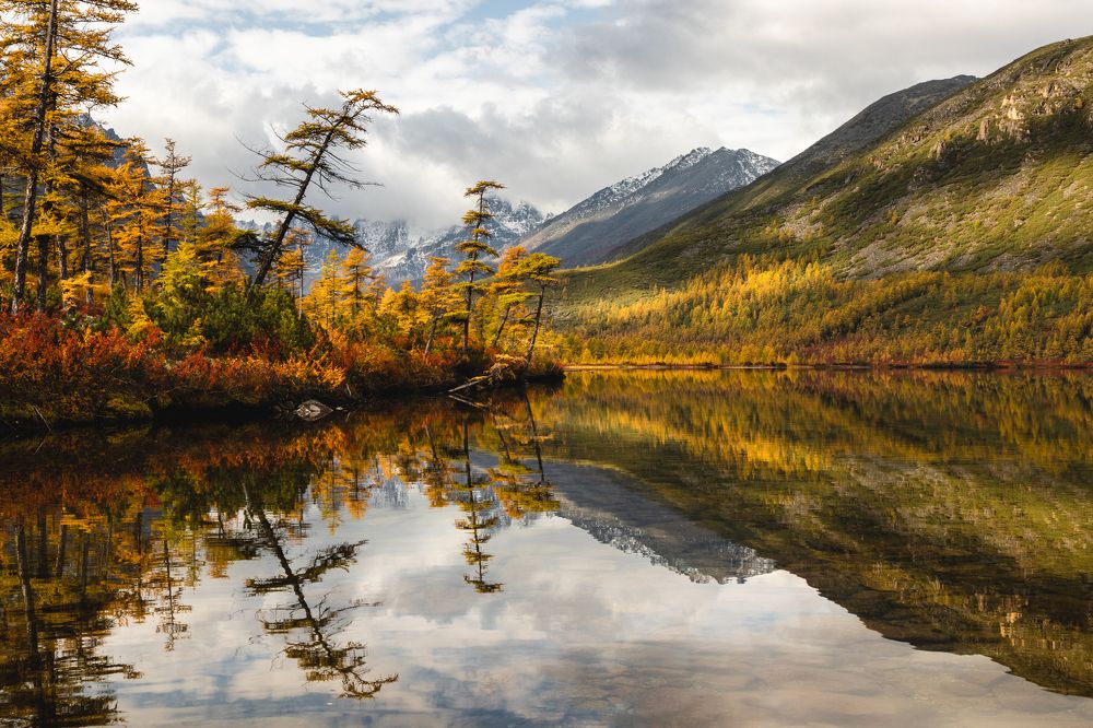 Фотография автора Nadezhda Okorokova